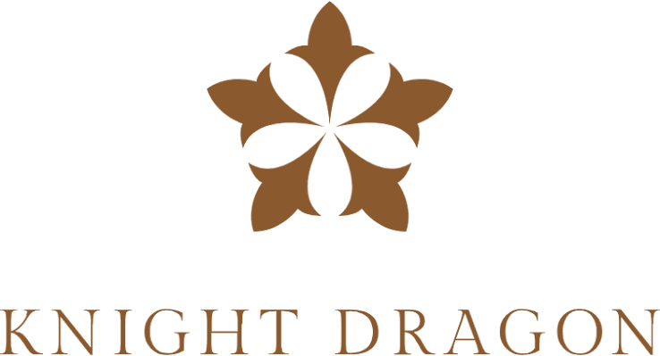 Knight Dragon